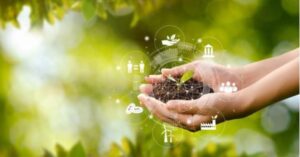 - Marketing verde e digital